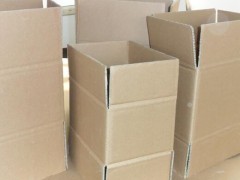 2024年四川省造紙行業概況